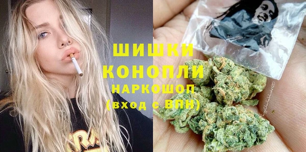 PSILOCYBIN Киренск