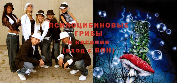 PSILOCYBIN Киренск