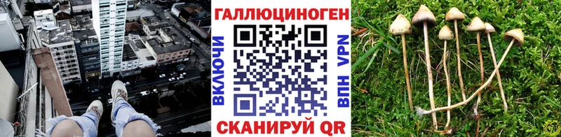 Купить закладки  Электроугли  Псилоцибиновые грибы ЛСД 