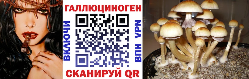 Галлюциногенные грибы Psilocybe Электроугли